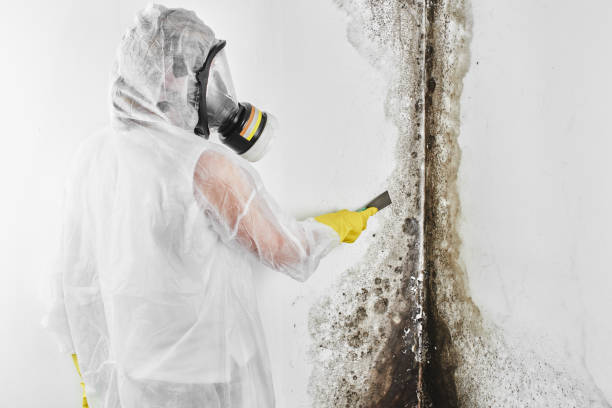 Best Crawl Space Mold Removal  in Wake Forest, NC