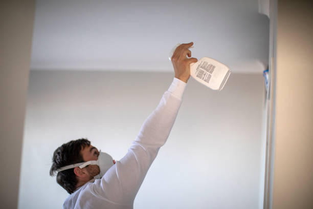 Best Mold Remediation Services  in Wake Forest, NC