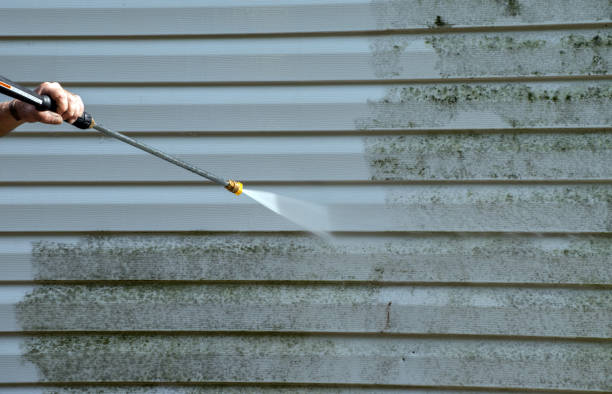 Best Mold Remediation  in Wake Forest, NC